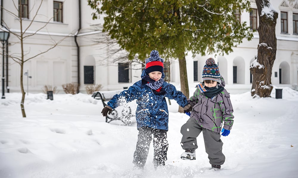 Ability Allies Indiana